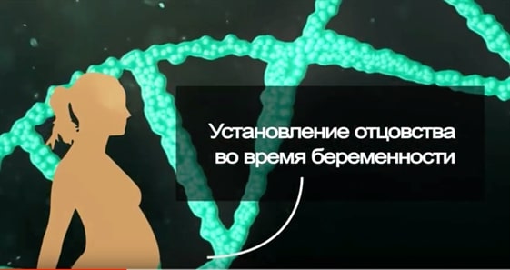 видео